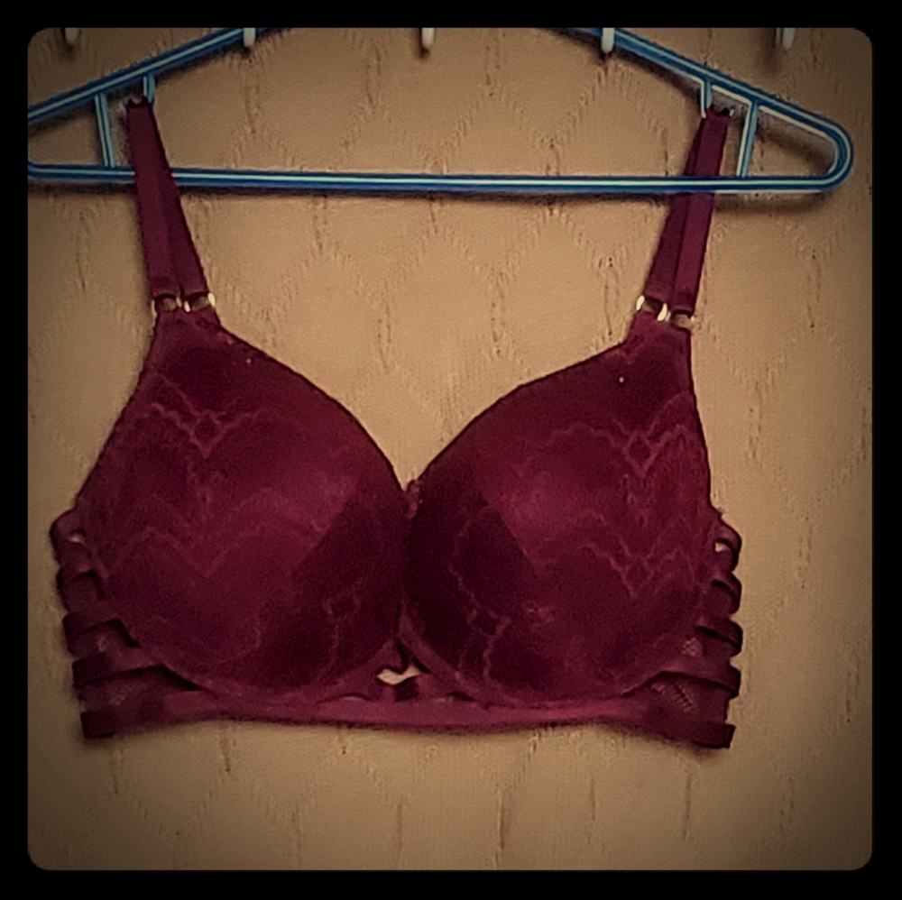 Sexy Lasenza Bra